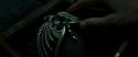 RdM2-Potterish_06782.jpg
