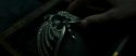 RdM2-Potterish_06783.jpg