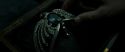 RdM2-Potterish_06784.jpg