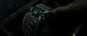 RdM2-Potterish_06786.jpg