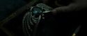 RdM2-Potterish_06787.jpg
