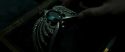 RdM2-Potterish_06793.jpg