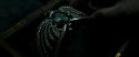 RdM2-Potterish_06795.jpg
