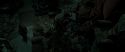 RdM2-Potterish_06914.jpg