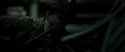 RdM2-Potterish_06918.jpg