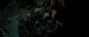 RdM2-Potterish_06930.jpg