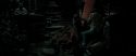RdM2-Potterish_06945.jpg