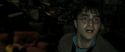 RdM2-Potterish_07004.jpg