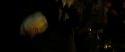 RdM2-Potterish_07051.jpg