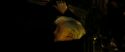 RdM2-Potterish_07052.jpg