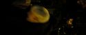 RdM2-Potterish_07053.jpg