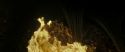 RdM2-Potterish_07089.jpg