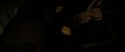 RdM2-Potterish_07112.jpg