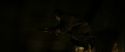 RdM2-Potterish_07118.jpg