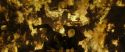 RdM2-Potterish_07124.jpg
