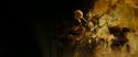 RdM2-Potterish_07178.jpg