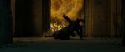 RdM2-Potterish_07191.jpg