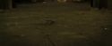 RdM2-Potterish_07202.jpg