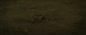 RdM2-Potterish_07203.jpg