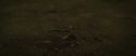 RdM2-Potterish_07204.jpg
