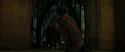 RdM2-Potterish_07206.jpg