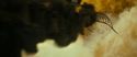RdM2-Potterish_07219.jpg