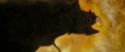 RdM2-Potterish_07220.jpg