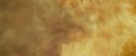 RdM2-Potterish_07221.jpg