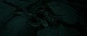 RdM2-Potterish_07238.jpg