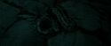 RdM2-Potterish_07240.jpg