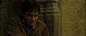 RdM2-Potterish_07270.jpg