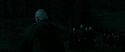 RdM2-Potterish_07294.jpg