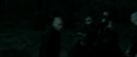 RdM2-Potterish_07303.jpg