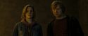 RdM2-Potterish_07359.jpg