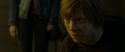 RdM2-Potterish_07381.jpg