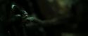 RdM2-Potterish_07415.jpg