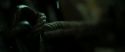RdM2-Potterish_07416.jpg
