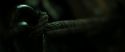 RdM2-Potterish_07418.jpg