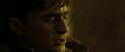 RdM2-Potterish_07425.jpg