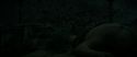 RdM2-Potterish_07682.jpg
