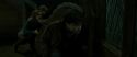 RdM2-Potterish_07775.jpg