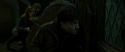 RdM2-Potterish_07776.jpg