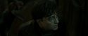 RdM2-Potterish_07783.jpg