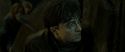 RdM2-Potterish_07786.jpg