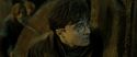 RdM2-Potterish_07787.jpg