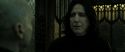 RdM2-Potterish_07789.jpg