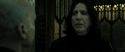 RdM2-Potterish_07790.jpg
