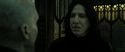 RdM2-Potterish_07799.jpg