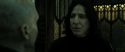 RdM2-Potterish_07800.jpg