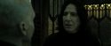 RdM2-Potterish_07806.jpg